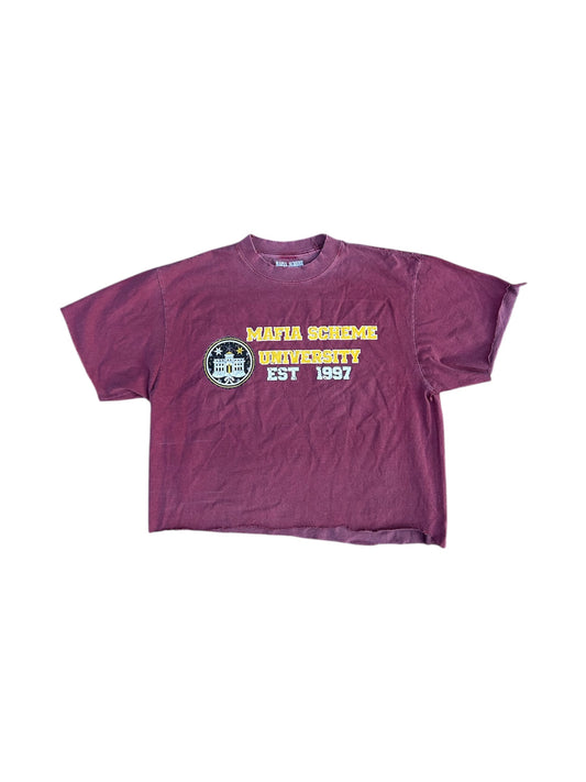 Scheme School Pride Tee